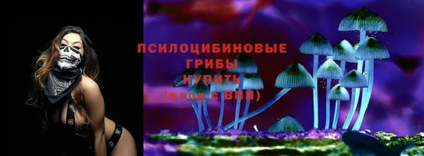 а пвп мука Куйбышев