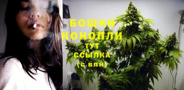 дурь Кулебаки
