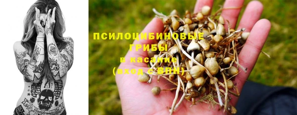 дурь Кулебаки